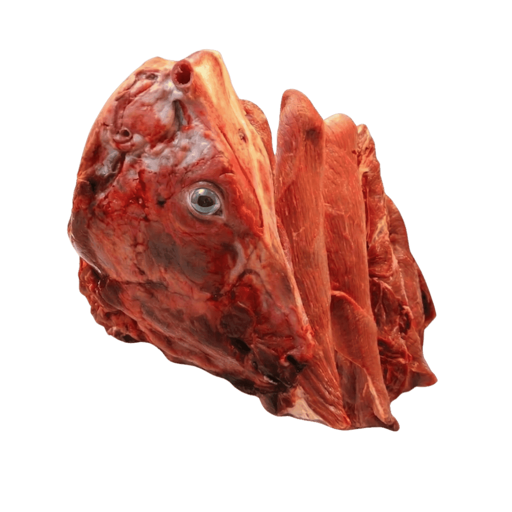 Beef Head 1 lb buy online USA