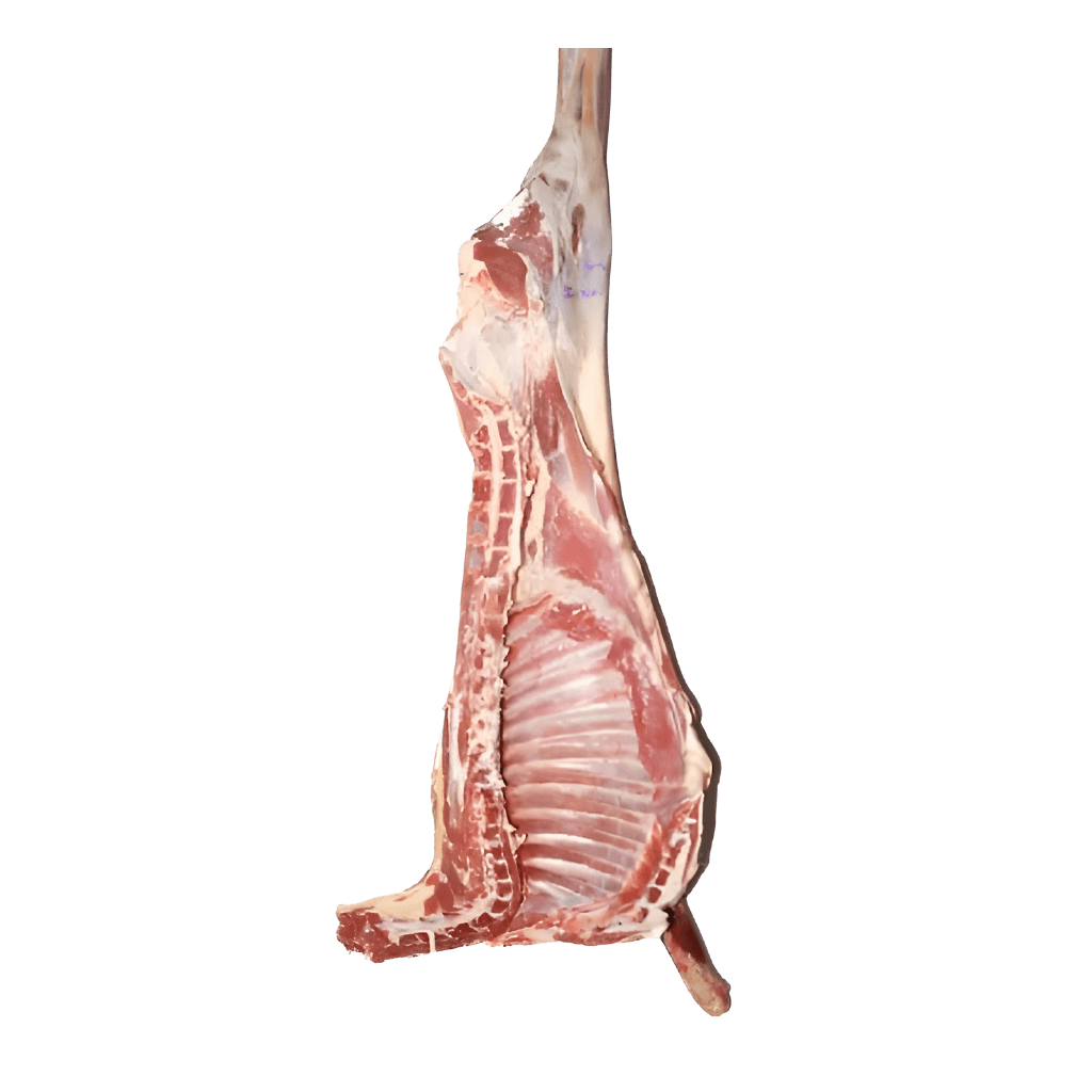 Regular Half Lamb 1 lb buy online USA