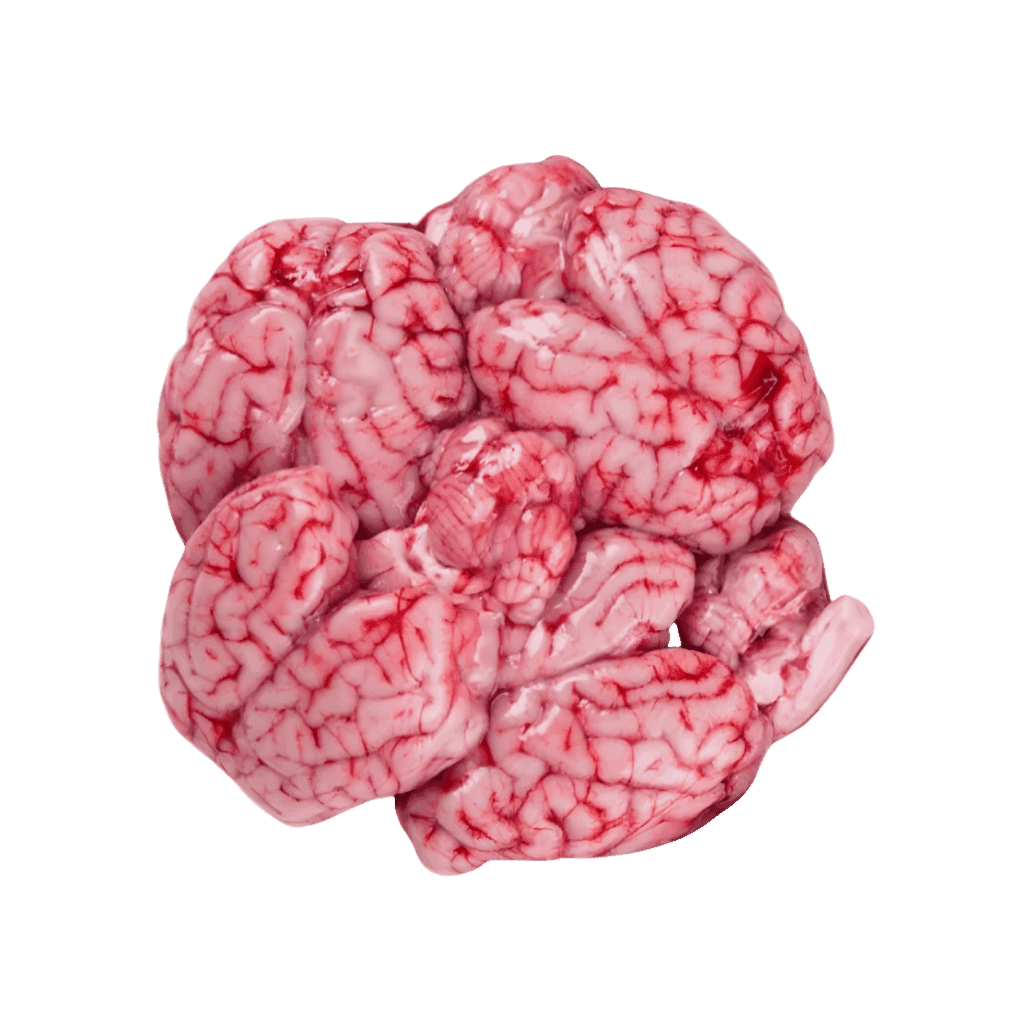 Regular Lamb Brain 1 lb buy online USA