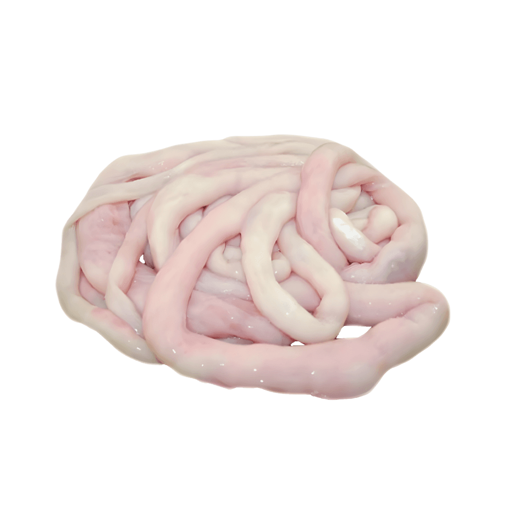 Regular Lamb Intestine 1 lb buy online USA
