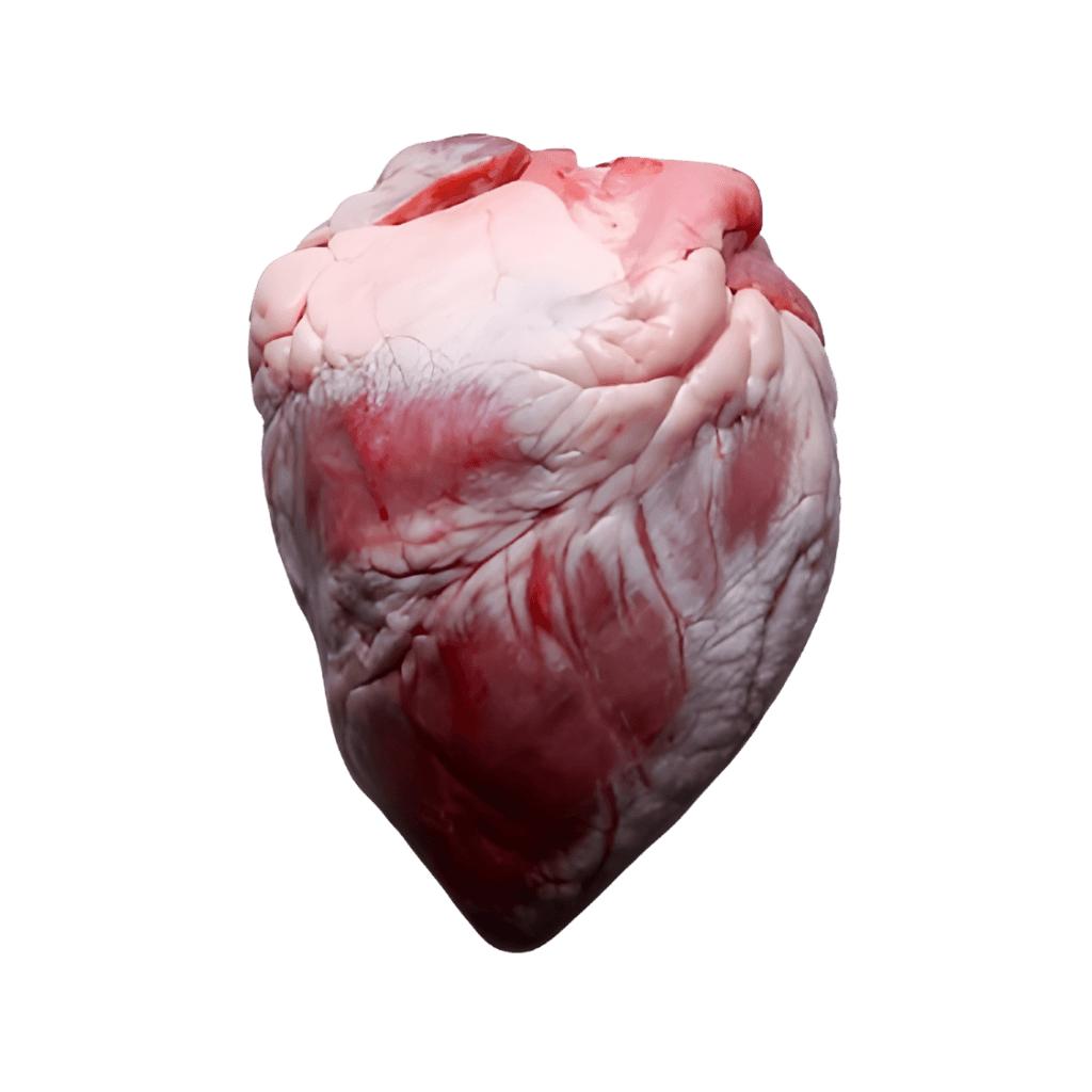 Regular Lamb Heart 1 lb buy online USA