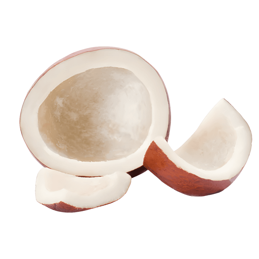 Coconut Dry 1 pc buy online USA