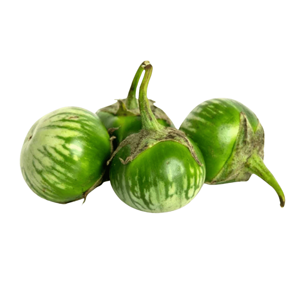 Egg Plant Thai 1 lb buy online USA