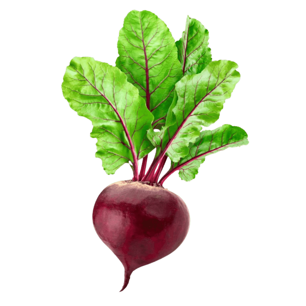 Beets 1 lb buy online USA