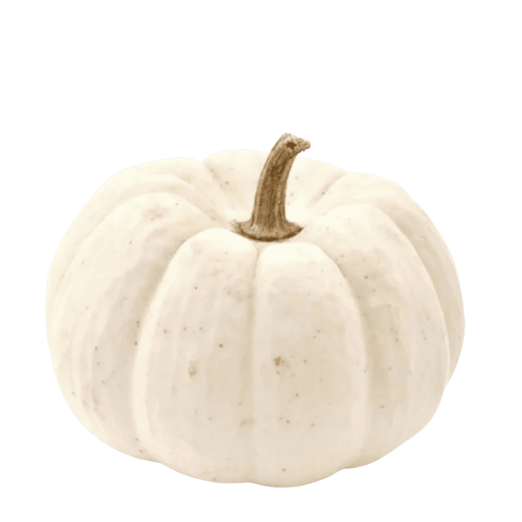 Pumpkin White 1 lb buy online USA