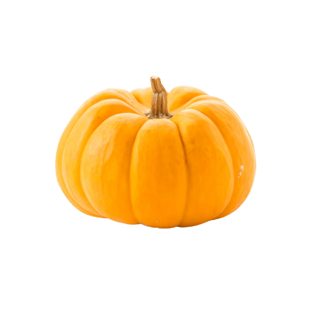 Pumpkin Yellow 1 lb buy online USA