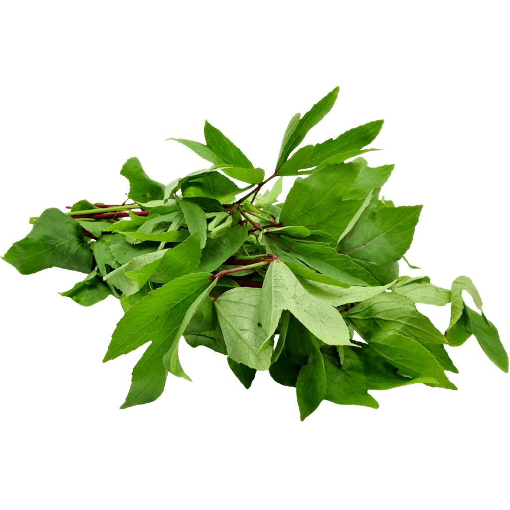 Gongura Leaves 1 lb buy online USA