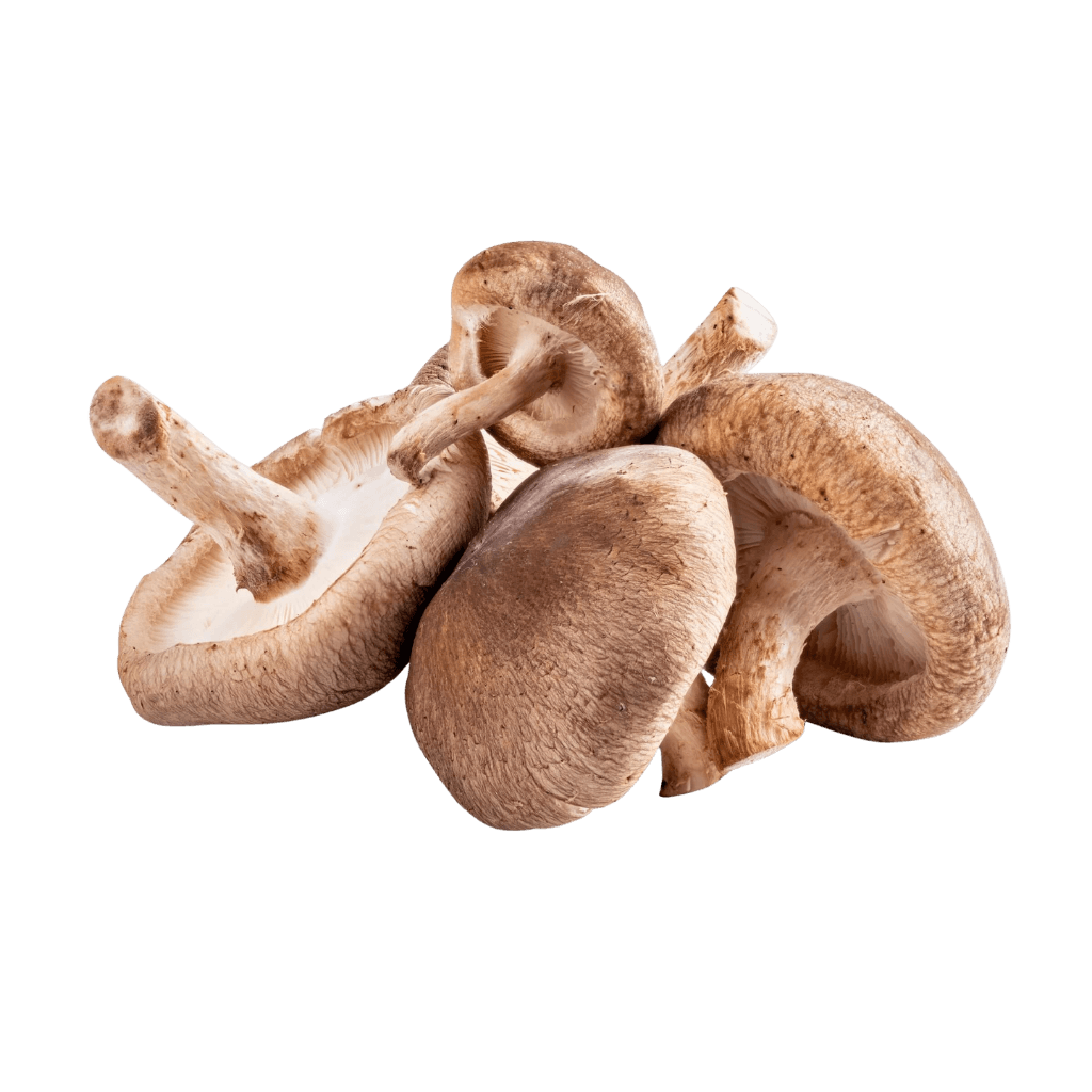 Mushroom 1 lb buy online USA