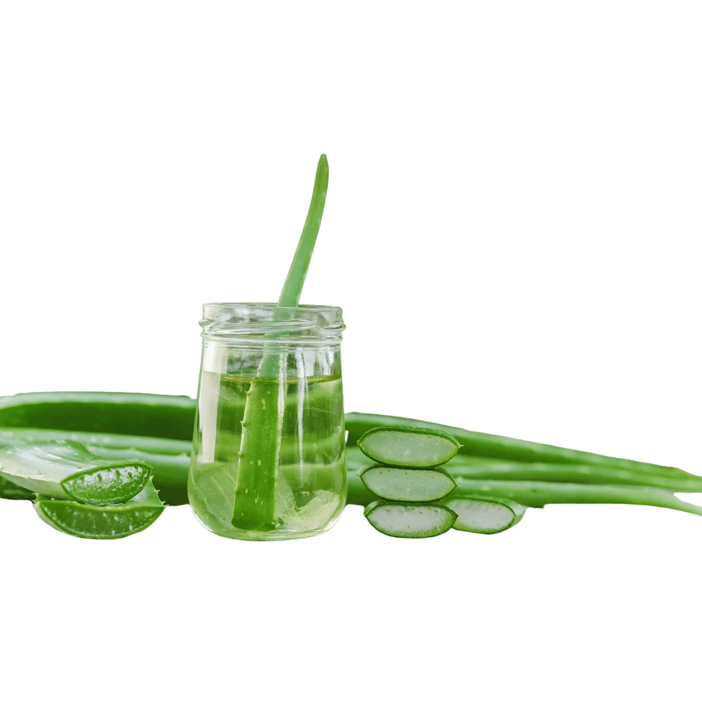 Aloe Vera 1 lb buy online USA
