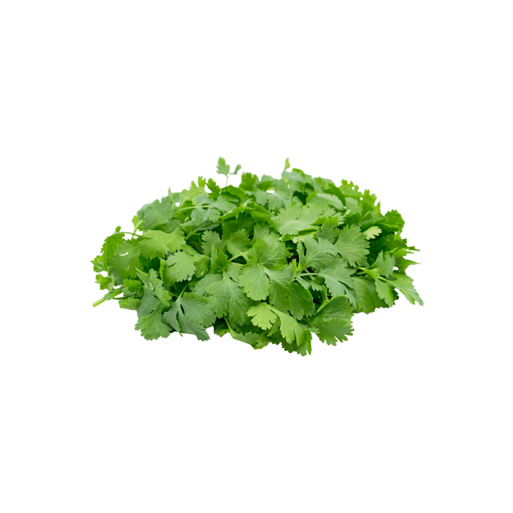 Cilantro 3 bunch buy online USA