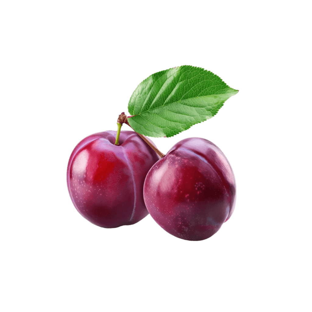 Plum Red 1 lb buy online USA