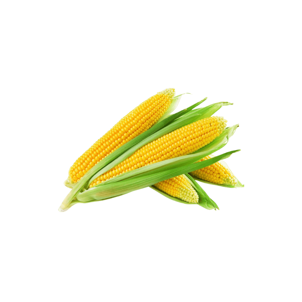 Fresh Corn 3 pcs buy online USA