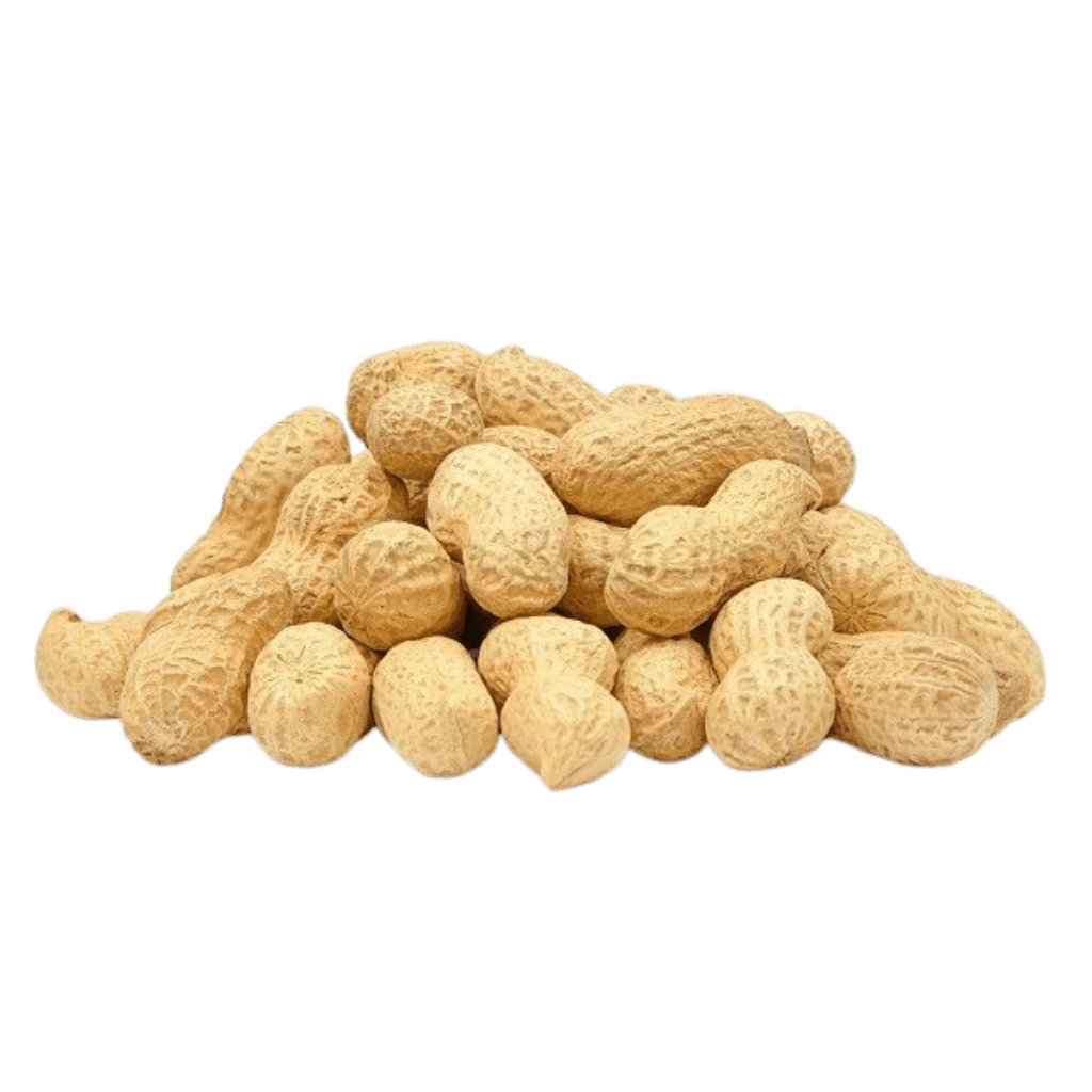 Fresh Peanut 1 lb buy online USA