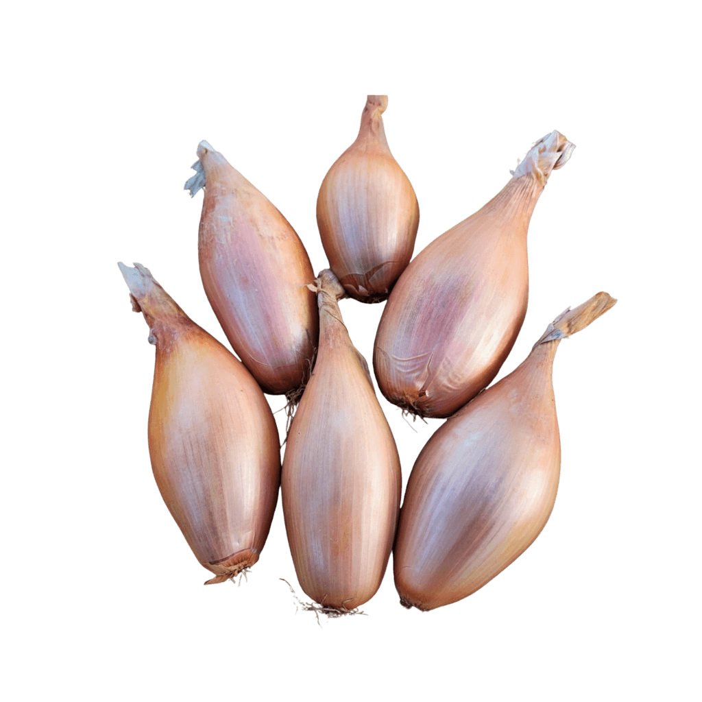 Onion Shallot 1 lb buy online USA