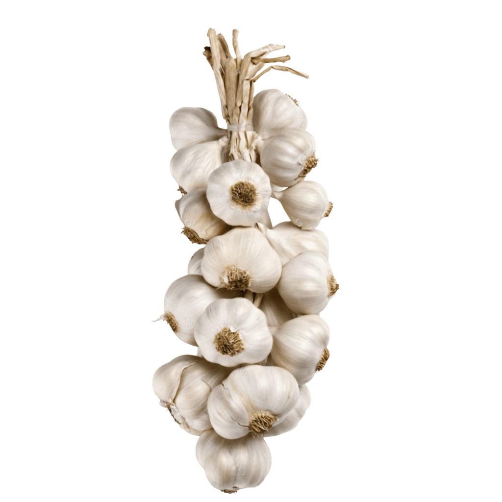 Garlic Bunch (4 to 5 pcs) buy online USA