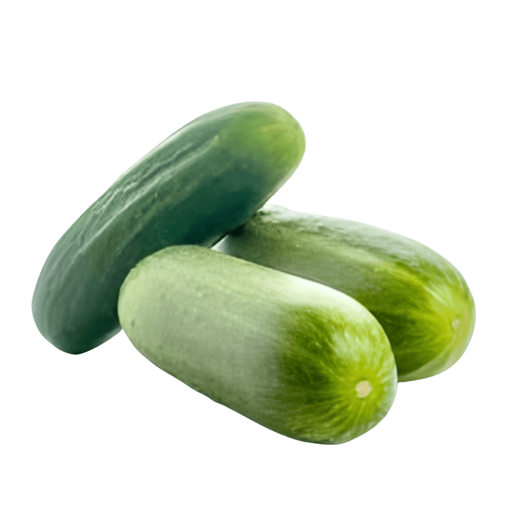Regular Cucumber 1 pc buy online USA
